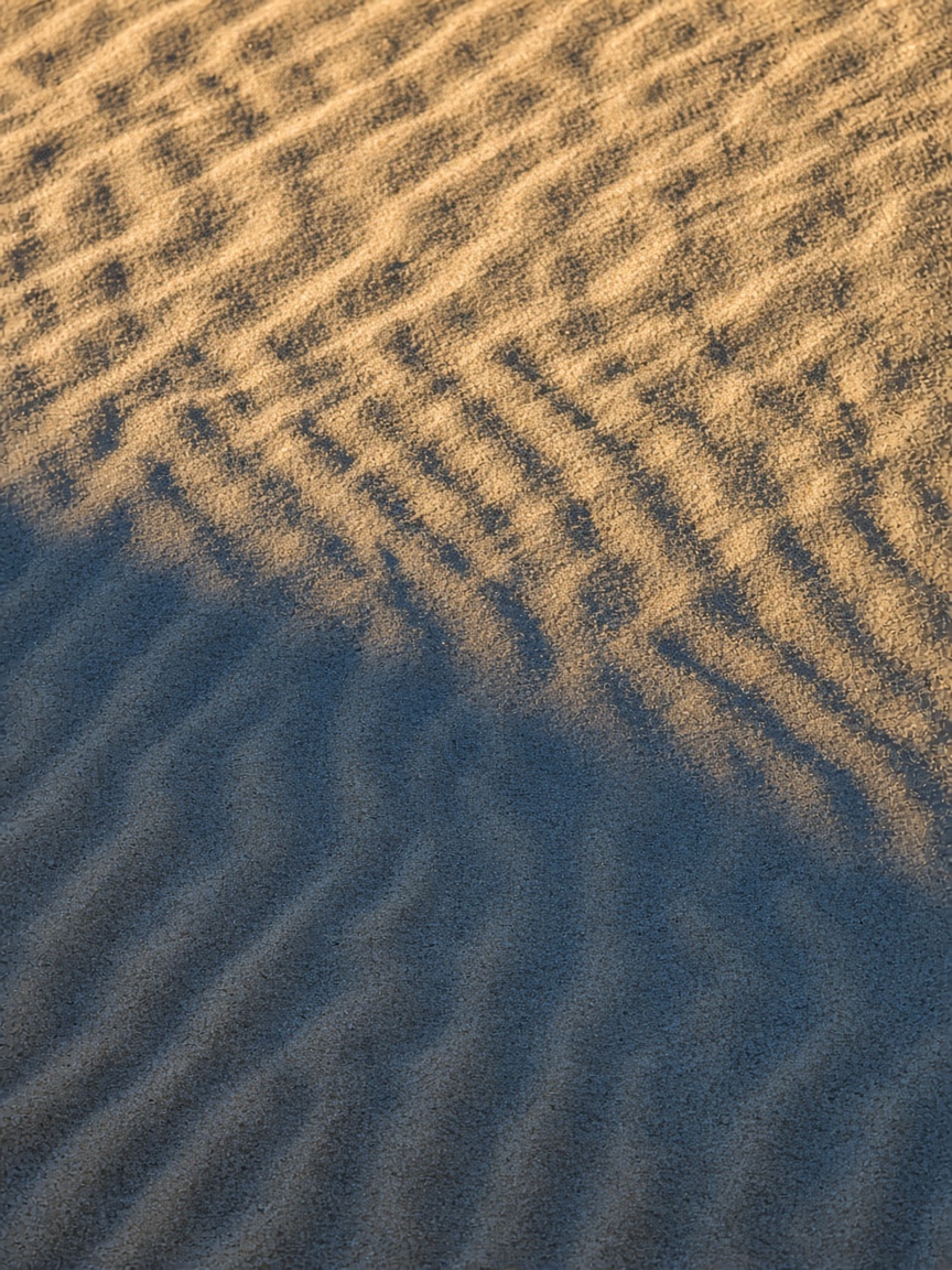 Photograph of wind-rippled sand filling the frame, with one long shadow.